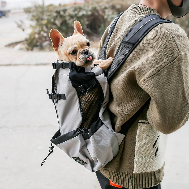 Dog Carrier Backpack for Hiking and Outdoor Travel - PawGliss - photo 1