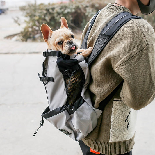 Dog Carrier Backpack for Hiking and Outdoor Travel - PawGliss - photo 1