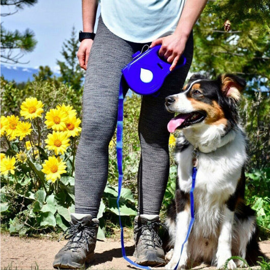 Multifunctional retractable pet leash with folding bowl