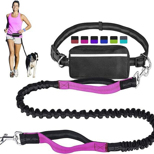 Reflective Dog Leash Set with Waist Pack for Running - PawGliss - photo 1