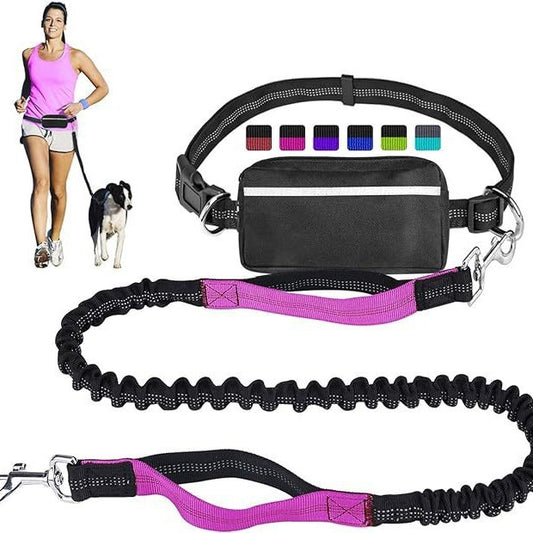 Reflective Dog Leash Set with Waist Pack for Running - PawGliss - photo 1