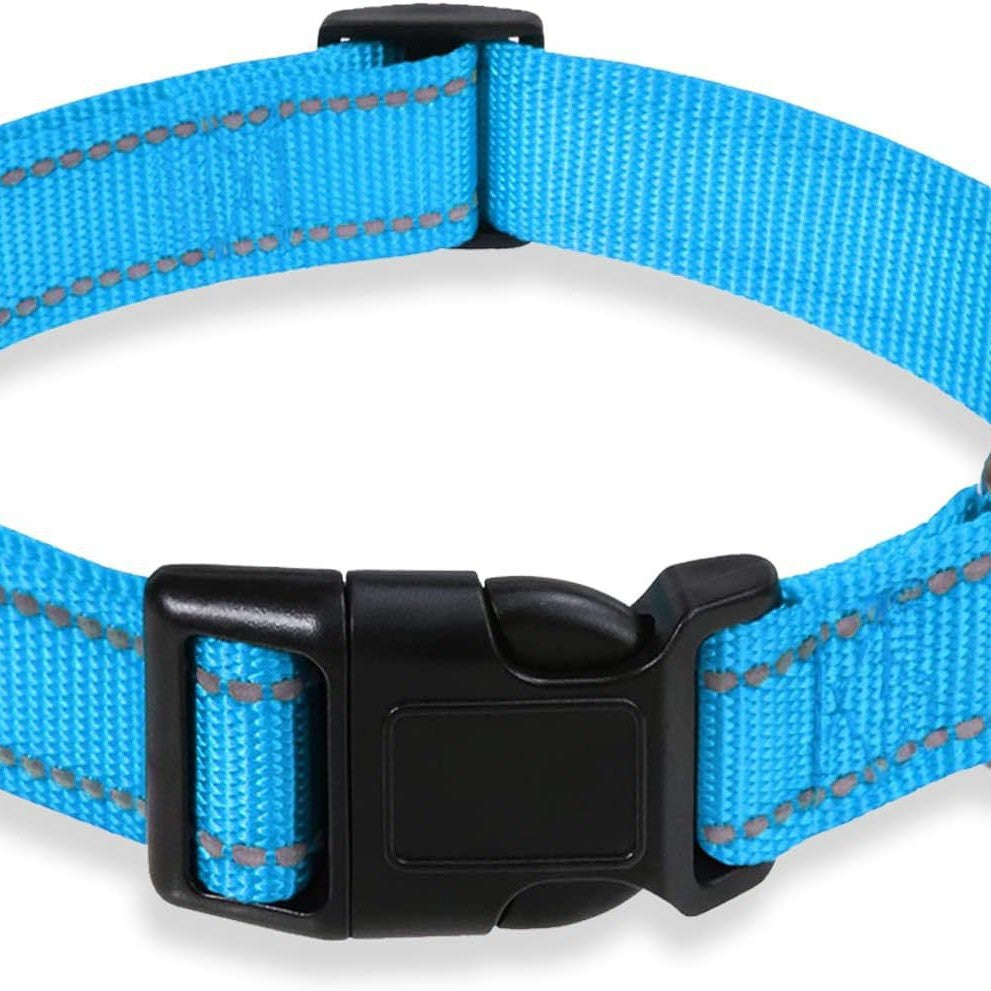 Reflective Dog Leash Set with Waist Pack for Running - PawGliss - photo 9