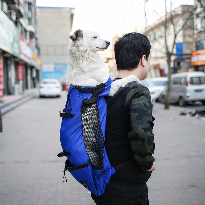 Dog Carrier Backpack for Hiking and Outdoor Travel - PawGliss - photo 8