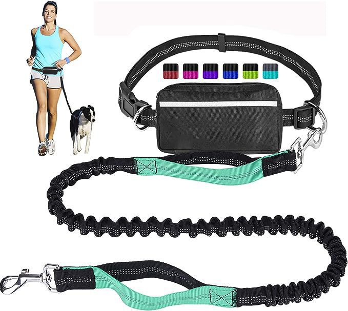 Reflective Dog Leash Set with Waist Pack for Running - PawGliss - photo 13