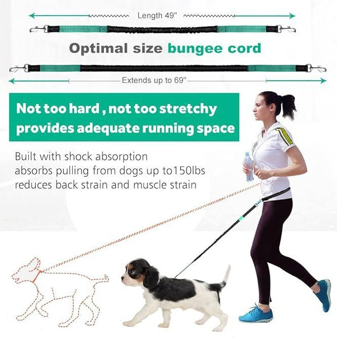 Reflective Dog Leash Set with Waist Pack for Running - PawGliss - photo 5