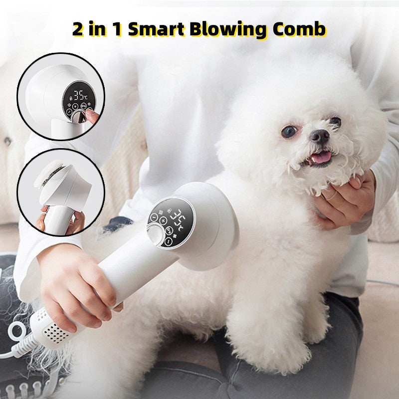 Quiet 2-in-1 Pet Hair Dryer and Comb for Dogs and Cats - PawGliss - photo 1
